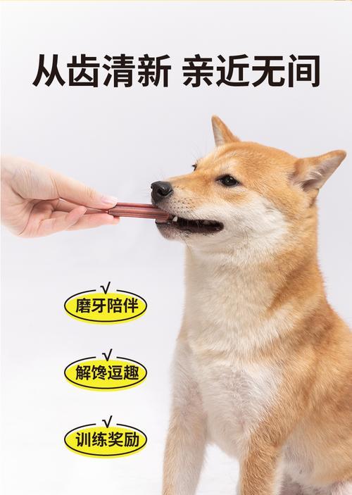 小狗磨牙的周期与方法（揭秘小狗磨牙的秘密，保护牙齿健康不可忽视）