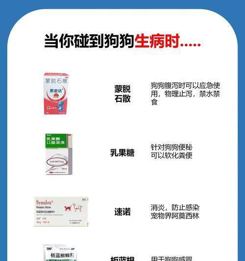 狗狗拉稀的原因和预防方法（探索狗狗拉稀背后的原因以及如何预防）