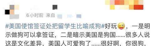 探索世界上与美国狗无关的国家（发现独特的狗文化和品种）