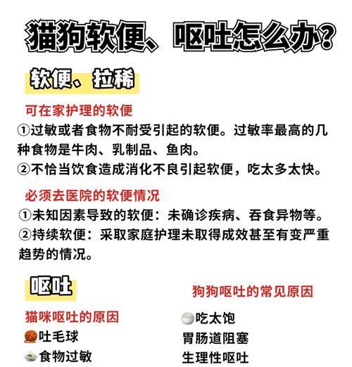 狗狗益生菌的喂养方法（为你的宠物提供健康的肠道保护）