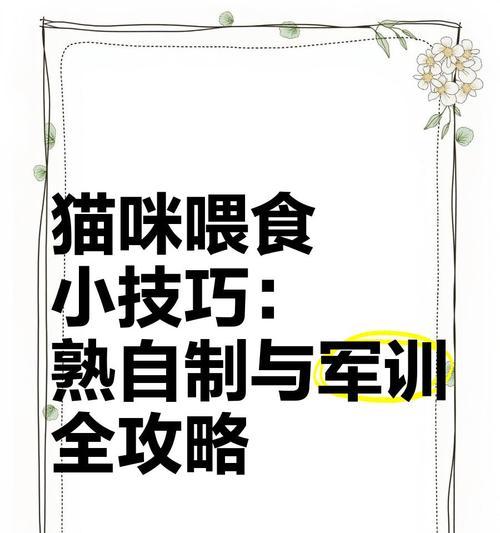 猫咪喂食频率对健康的影响（了解猫咪的饮食需求，保持良好的喂食频率）