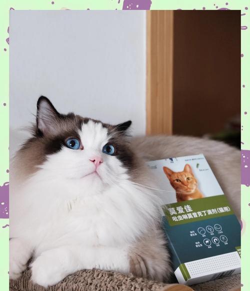 养猫必备（宠物保健知识分享｜科学驱虫频率揭秘）