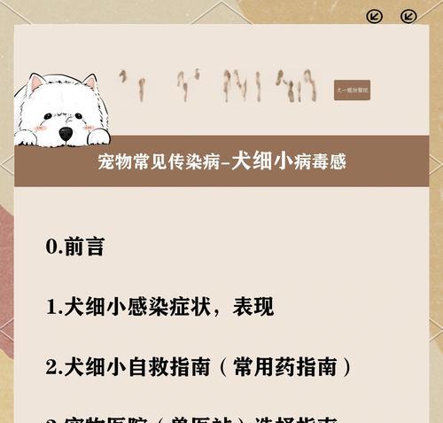 狗感染细小（探讨狗感染细小的致死时间和关键因素）