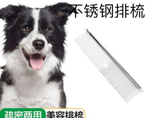 探索狗梳子领域的顶尖品牌（为你的爱犬选择最佳梳子，让它拥有完美的毛发）