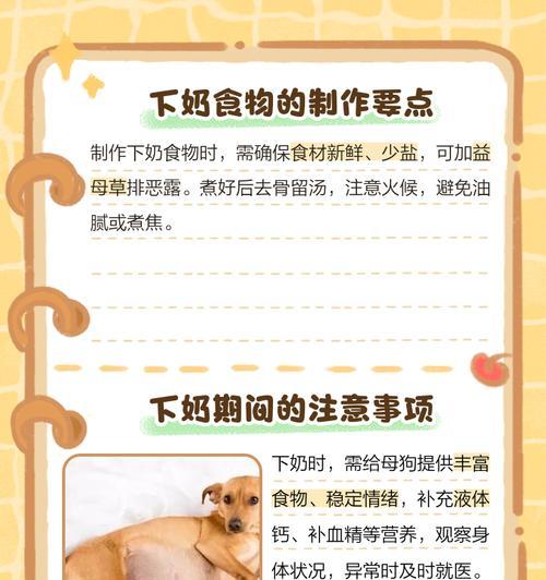 母狗下奶时间及相关注意事项（探究母狗产奶的时间和如何照顾新生崽儿）