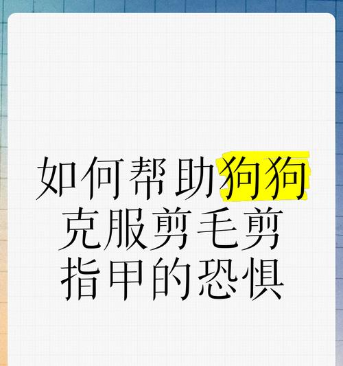 如何给狗剪指甲（宠物狗指甲剪裁注意事项）