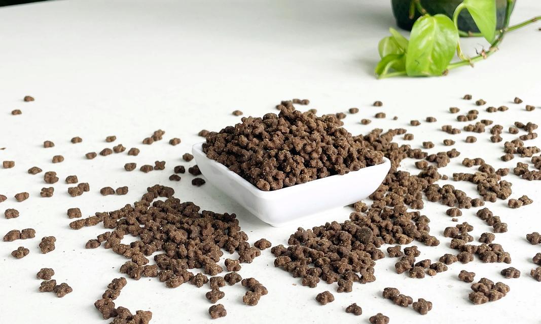 小猫吃猫粮泡水的时间究竟多久合适？（探讨小猫食用泡水猫粮的最佳时间长度）