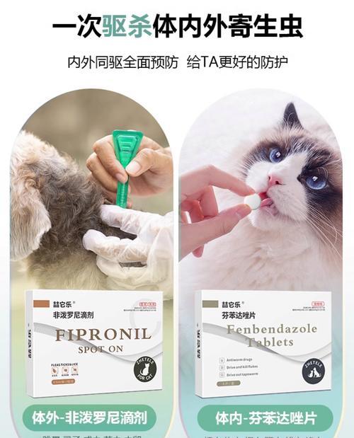 泰迪犬打虫药的使用频率与注意事项（探讨泰迪犬打虫药的合理使用周期及相关保健指导）