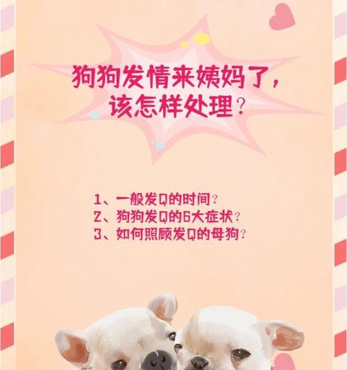 大型犬憋尿时间的考察与管理（探究大型犬憋尿时间的因素和建议）