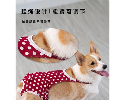 狗的发情周期及配种时间（了解狗的月经周期有助于正确配种）