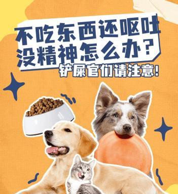 狗子低烧怎么办？药物治疗指南（探讨狗狗低烧的症状、治疗方法和合适的药物选择）