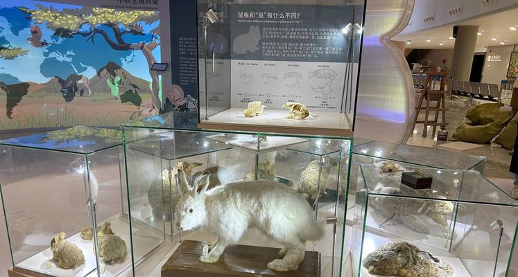 天生特殊的三瓣嘴巴动物们（探索三瓣嘴巴世界的奇妙之旅）