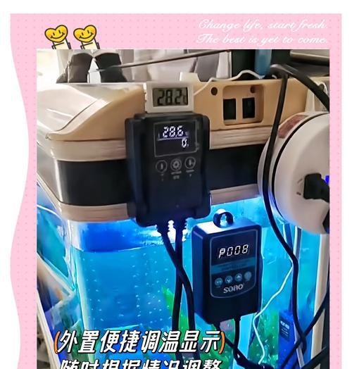 鱼缸加热棒正确摆放方式（让你的鱼缸保持温暖舒适）