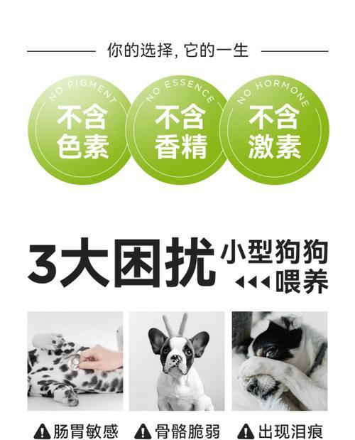 泰迪狗粮500克能供应多久？（揭秘泰迪每日狗粮摄入量和消耗速度）