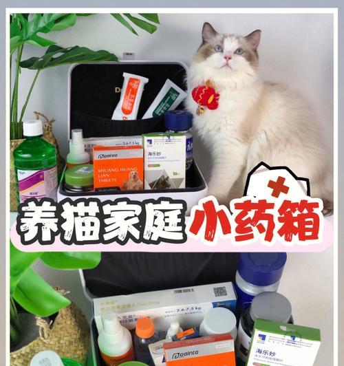 养猫必备小药箱（不为人所知的养猫必备药品推荐，让你的猫咪更健康快乐）