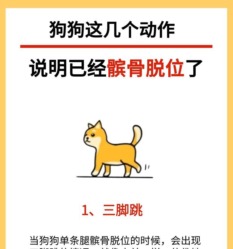 通过学习简单的动作，培养你的狗狗的智力和亲密关系（培养狗狗的智力和亲密关系的简单动作训练方法）