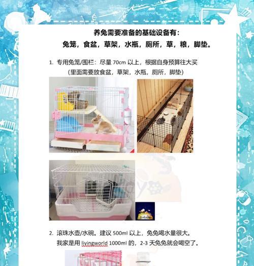 兔子厕所的清理周期及注意事项（兔子厕所保持清洁的关键与方法）