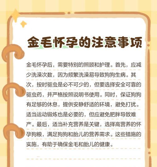 金毛犬的怀孕周期及相关知识（了解金毛犬的怀孕周期，助你成为合格的犬主人）