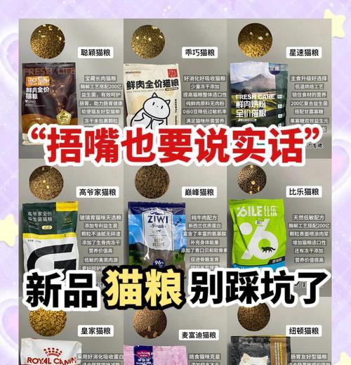 养猫劝退指南（探索养猫的现实缺陷，让你了解养猫并不简单的一面）