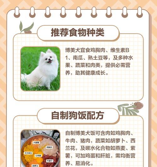宠物博美狗可以享用的水果大全（为你的博美狗提供丰富的水果选择，让它保持健康快乐）