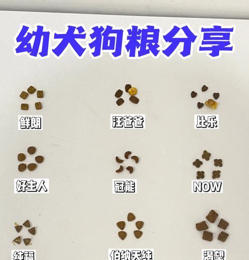 为什么幼犬吃狗粮要泡？（幼犬狗粮的泡制方法及其重要性）