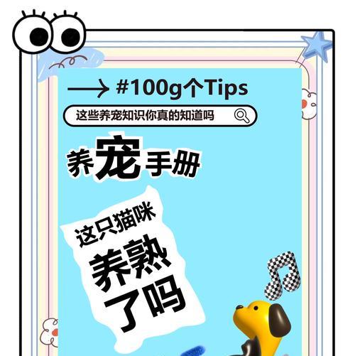 喵咪的饮食习惯及合适的喂食时间（以喵咪一般多久可以喂熟为主题的探讨）