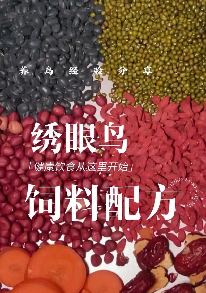 增强绣眼鸟羽色的方法与技巧（训练绣眼鸟羽色鲜艳的秘诀与注意事项）