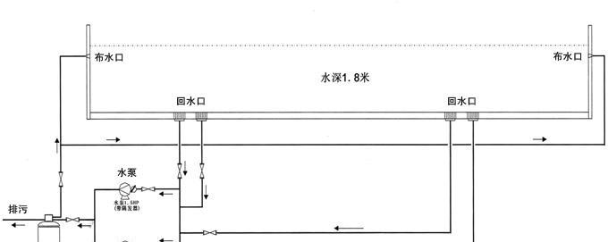 鱼池换水频率的重要性（为鱼的生存提供清洁环境的关键）