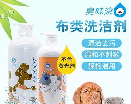 猫窝清理频率的重要性（为宠物猫提供干净舒适的居住环境）