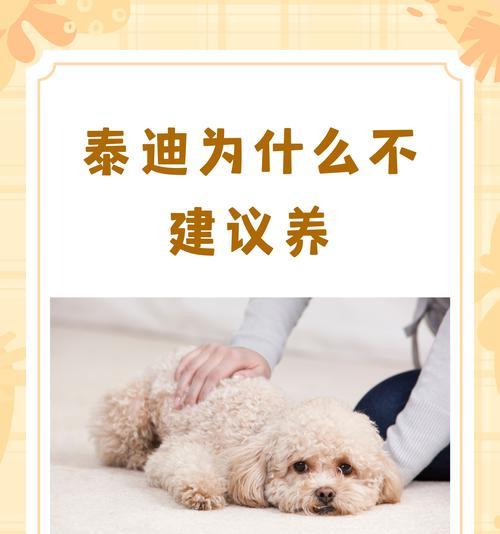 泰迪美容（了解泰迪美容的重要性及如何正确进行）