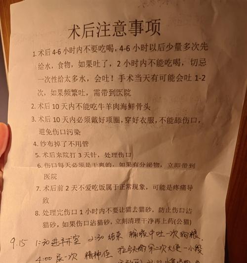 母狗绝育手术的恢复时间及注意事项（了解母狗绝育手术后的恢复过程和护理要点）