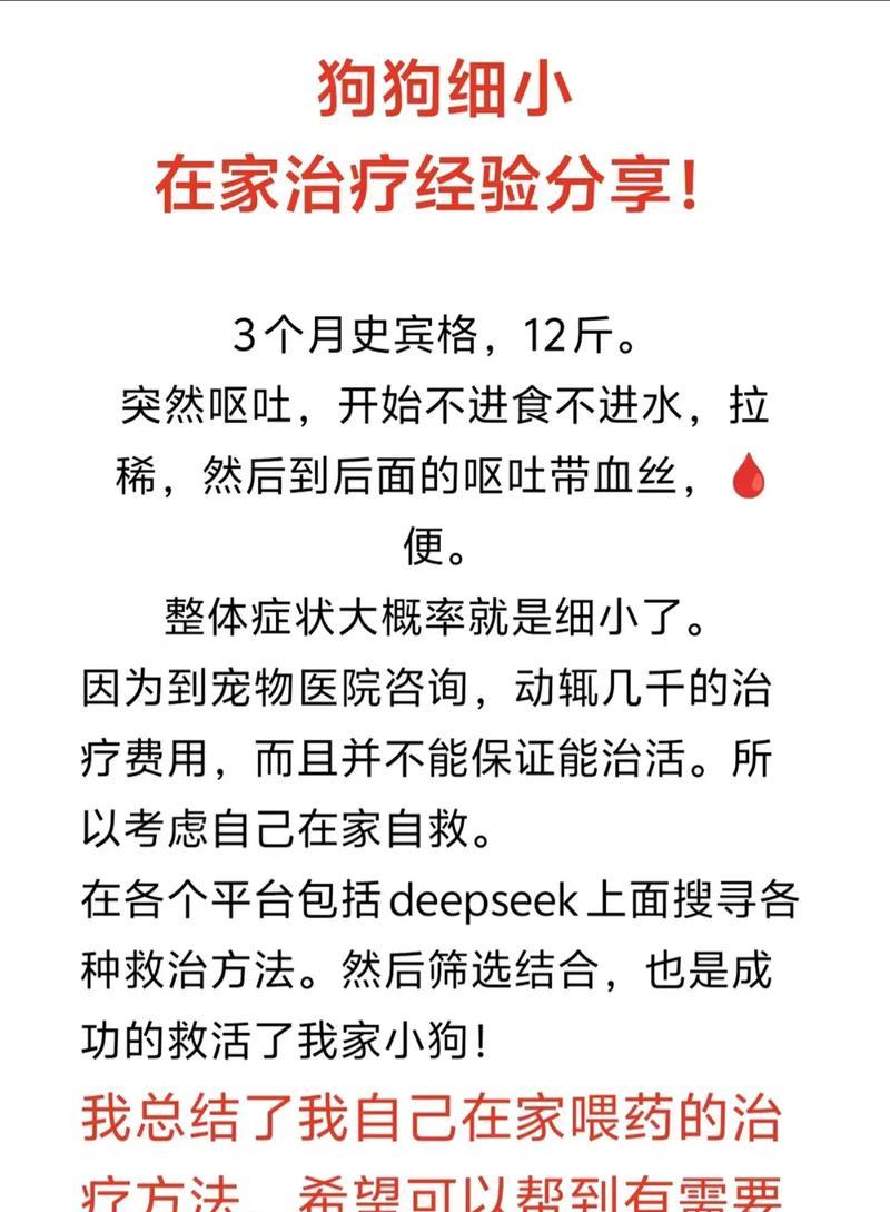狗狗细小发病速度之迅猛如箭（揭秘细小病毒入侵狗狗身体的闪电速度）