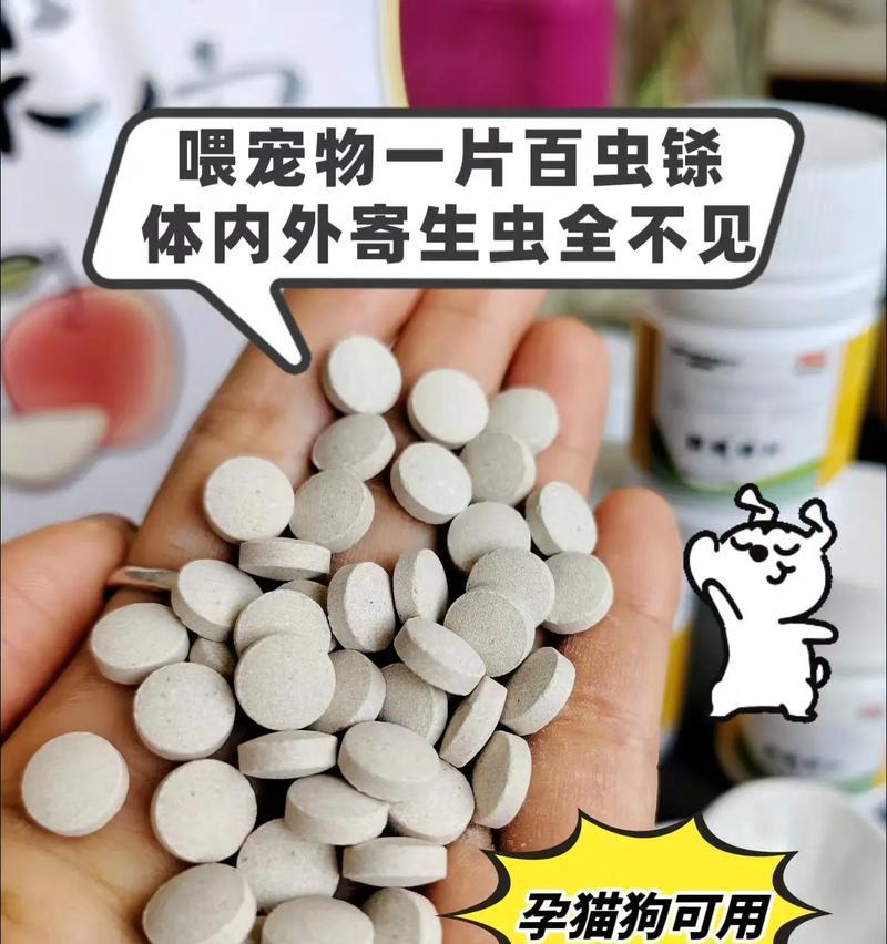 狗狗吃肠虫清多久见效？（探究肠虫清对狗狗的有效性及见效时长）