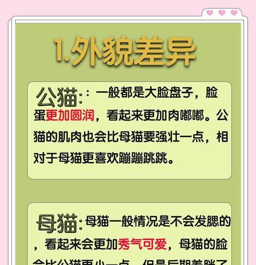 如何科学喂养猫咪并让其保持理想体重（了解猫咪的食量和调整饮食习惯，让你的宠物变得健康有活力）