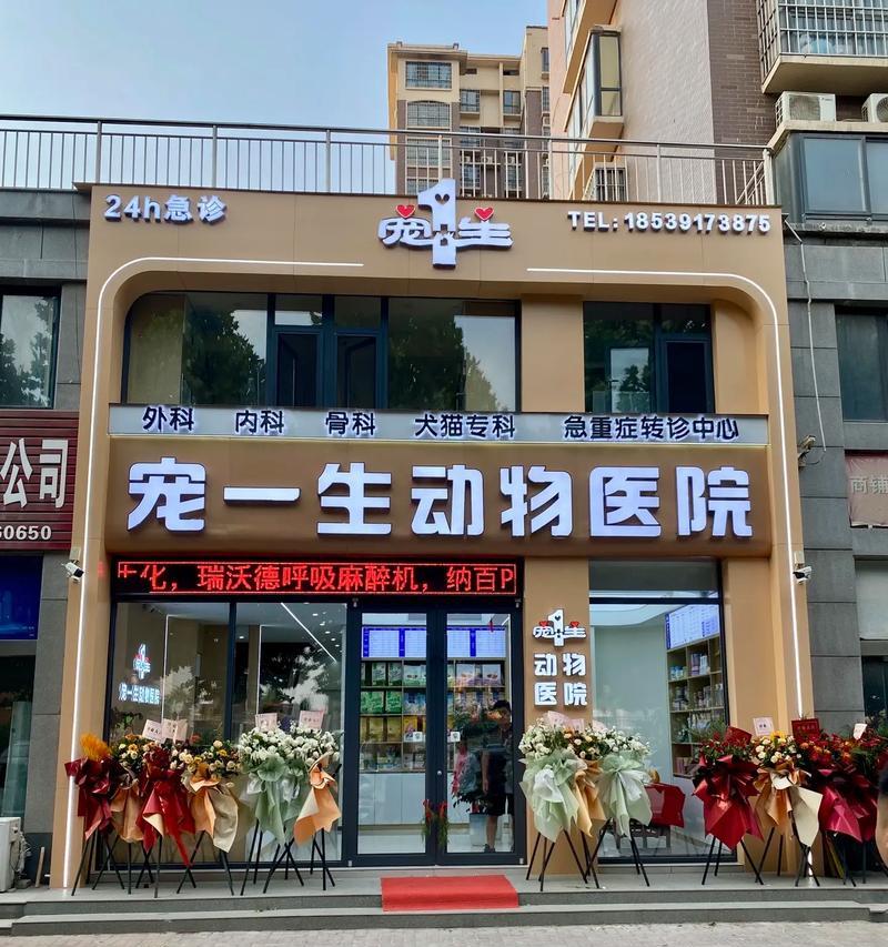 探秘以上饶市的宠物店（多样选择满足你的宠物需求，来一次宠物天堂的探索之旅）