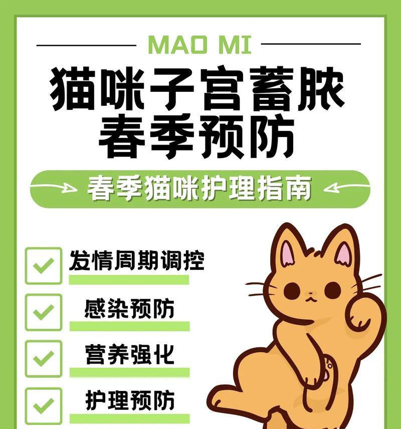 猫子宫蓄脓（了解猫子宫蓄脓，提高宠物健康的重要性）