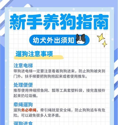 如何养幼犬？关注它的健康成长（饲养幼犬要注意什么？）