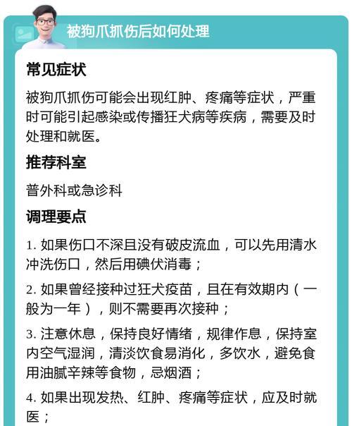 了解狗狗狂犬病的症状及预防措施（保护你的宠物免受狂犬病侵袭）