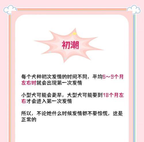 宠物狗狗姨妈期间的护理指南（了解狗狗姨妈期间的需求，让它们度过舒适的时光）