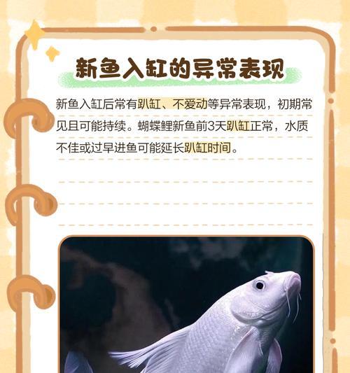 新买的鱼应该在缸外过多久后入缸？（正确的鱼缸适应时间，让新鱼充分适应新环境）