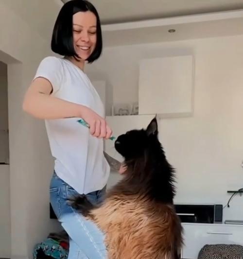 宝贝猫猫的成长历程（探寻猫猫体型成长的奥秘）