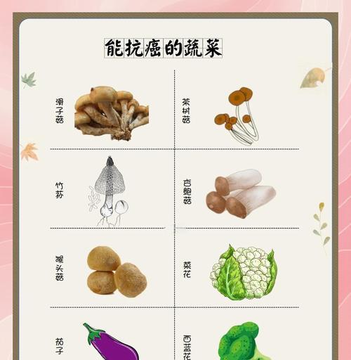 狗能吃的蔬菜大全（一份营养丰富的蔬菜指南，让你的狗健康成长）