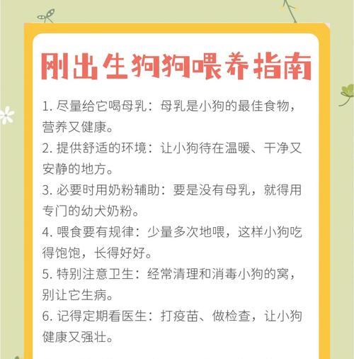 狗狗生了宝宝多久可以洗澡？（了解狗狗生育后洗澡的最佳时机）