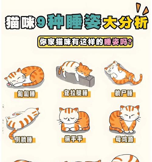 小猫的睡眠习惯（猫咪的日常睡眠需求及其影响因素）