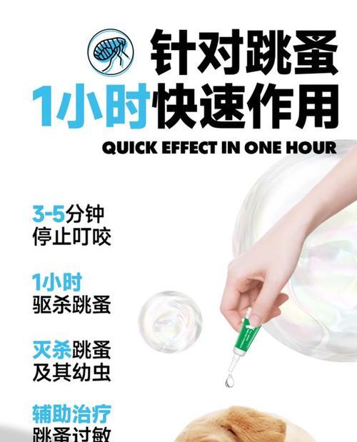 猫咪驱虫药全解析（了解猫咪驱虫药的类型、作用和使用方法）