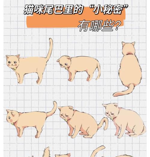 猫咪尾巴的语言之秘密解读（探索猫咪尾巴的姿态与情绪变化）