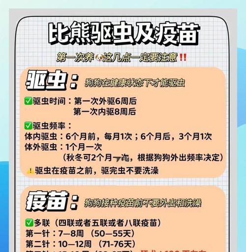 宠物狗狗的驱虫时间表（四个月比熊的驱虫周期和方法）