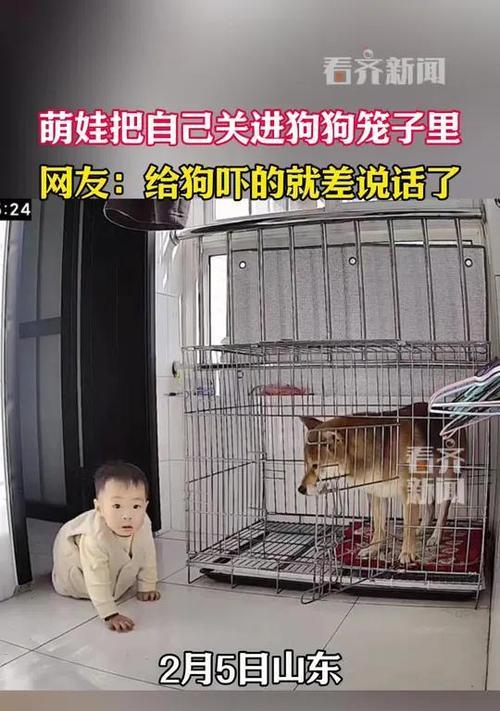 幼犬关笼子多久合适？（关笼时间掌握要诀，宠物健康有保障）