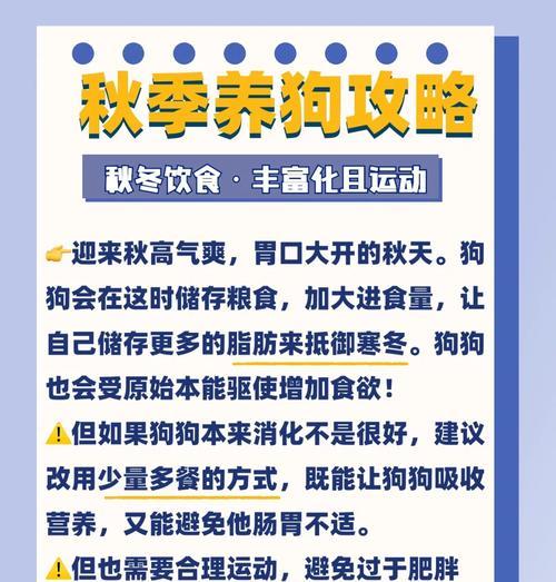 如何判断狗狗是否吃饱了？（注意狗狗的饮食习惯，关心它们的健康）