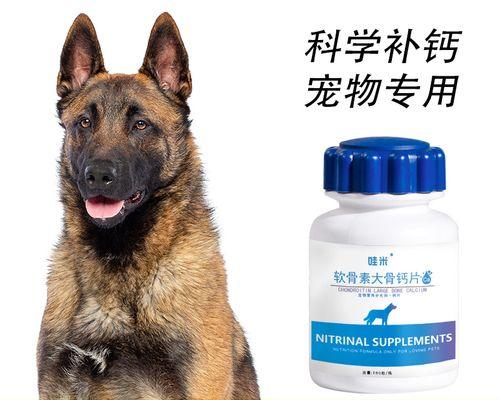 以马犬缺钙如何补回来？（了解以马犬缺钙的原因及有效的补钙方法）